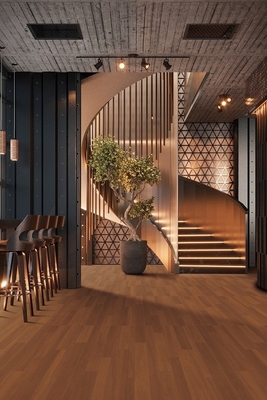 comprar Moderno 24 