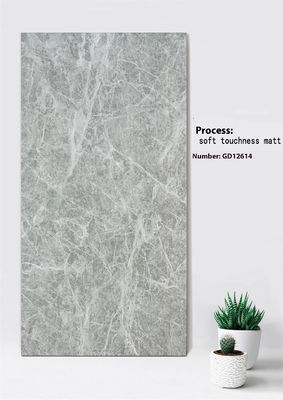 comprar Azulejo para Fachada de Argila Cinza Claro 600x1200mm Toque Suave Fosco fabricação em linha