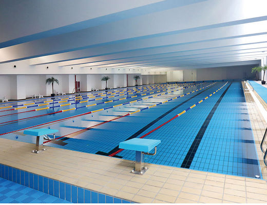 comprar S003 o Decking cerâmico da pista 24kg/Carton telha a piscina, telha vitrificada 115x240mm da borda fabricação em linha