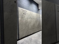 Lustrado vitrificou telhas