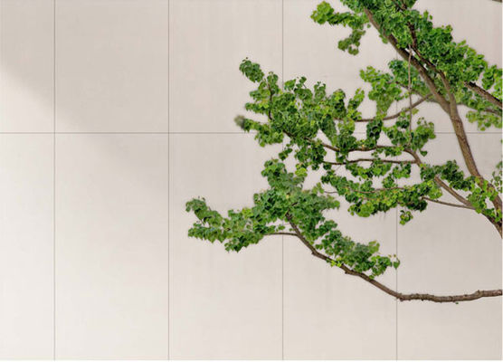 Chapa de porcelana antiga branca opaca 600x1200mm