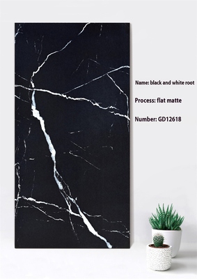 Resistente ao desgaste preto e cinza 600x1200mm Flat Matte Black Curatin Wall Thick Tile For Courtyard