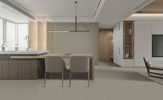 Texto de porcelana para piso para quarto 60x120cm estrelado SGS