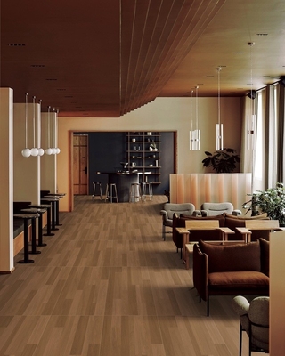Resistente à água 600x1200mm Olhar de madeira azulejos de porcelana e azulejos texturizados de piso exterior para hotel