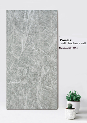 Olhar de mármore cinza claro Resistente a arranhões 600x1200mm Toque suave Matt Tejo de parede de cortina exterior Para jardim