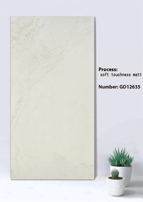 Antiderrapante Beige e cinza 600x1200mm Toque suave Matt Parede de cortina exterior Tecido de telha para parque